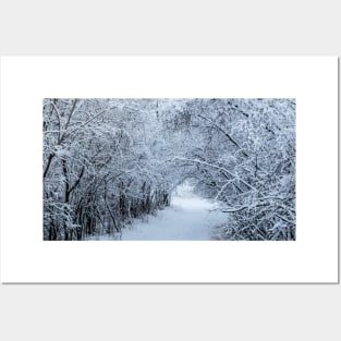 Wintery trail. Posters and Art